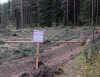 Файл=6551.jpg
Объём=230KB
Размеры=1200x927
Дата=Сент 05, 2010 6551.jpg