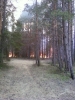 Файл=DP-18_05_2011-0421.jpg
Объём=182KB
Размеры=780x1040
Дата=Май 18, 2011 DP-18_05_2011-0421.jpg