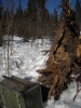 Файл=DSCN1691.jpg
Объём=1895KB
Размеры=2304x3072
Дата=Март 31, 2011 DSCN1691.jpg