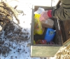 Файл=DSCN1697.jpg
Объём=895KB
Размеры=2544x2139
Дата=Март 31, 2011 DSCN1697.jpg