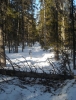 Файл=DSCN1699.jpg
Объём=1222KB
Размеры=2115x2766
Дата=Март 31, 2011 DSCN1699.jpg
