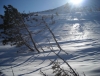 Файл=DSCN1714.jpg
Объём=1039KB
Размеры=3000x2304
Дата=Март 31, 2011 DSCN1714.jpg