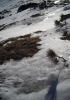 Файл=DSCN1731.jpg
Объём=1169KB
Размеры=2133x3024
Дата=Март 31, 2011 DSCN1731.jpg