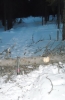 Файл=DSCN1819.jpg
Объём=379KB
Размеры=1512x2304
Дата=Март 31, 2011 DSCN1819.jpg