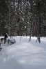 Файл=DSCN1945.jpg
Объём=496KB
Размеры=1560x2304
Дата=Март 31, 2011 DSCN1945.jpg