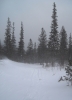 Файл=DSCN1972.jpg
Объём=406KB
Размеры=1800x2484
Дата=Март 31, 2011 DSCN1972.jpg