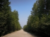 Файл=DSCN5128.jpg
Объём=168KB
Размеры=1024x768
Дата=Июнь 30, 2012 DSCN5128.jpg