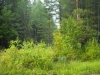 Файл=DSCN5618.jpg
Объём=600KB
Размеры=1024x768
Дата=Авг 23, 2009 DSCN5618.jpg