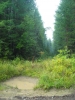 Файл=DSCN5619.jpg
Объём=471KB
Размеры=768x1024
Дата=Авг 23, 2009 DSCN5619.jpg