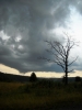 DSCN5628.jpg