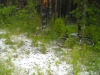 Файл=DSCN5633.jpg
Объём=346KB
Размеры=1024x768
Дата=Авг 23, 2009 DSCN5633.jpg