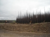 Файл=DSCN5647.jpg
Объём=328KB
Размеры=1024x768
Дата=Авг 23, 2009 DSCN5647.jpg