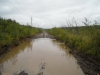 Файл=DSCN5650.jpg
Объём=288KB
Размеры=1024x768
Дата=Авг 23, 2009 DSCN5650.jpg