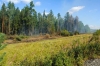 Файл=_DSC6091.jpg
Объём=176KB
Размеры=1000x669
Дата=Авг 23, 2010 _DSC6091.jpg
