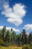 Файл=_DSC6111.jpg
Объём=100KB
Размеры=669x1000
Дата=Авг 23, 2010 _DSC6111.jpg