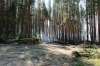 Файл=_DSC6153.jpg
Объём=203KB
Размеры=1000x669
Дата=Авг 23, 2010 _DSC6153.jpg