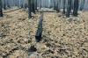 Файл=_DSC6189.jpg
Объём=251KB
Размеры=1000x669
Дата=Авг 23, 2010 _DSC6189.jpg