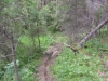 Файл=_velomtb2014-0900.JPG
Объём=382KB
Размеры=1200x900
Дата=Июль 21, 2014 _velomtb2014-0900.JPG