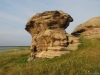 allaki-2014-11.JPG