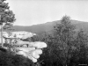 blin-03.JPG