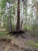 Файл=chel-bash-035.JPG
Объём=374KB
Размеры=900x1200
Дата=Дек 20, 2014 chel-bash-035.JPG