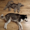 Файл=dog_avatar.jpg
Объём=218KB
Размеры=1220x1233
Дата=Март 21, 2015 dog_avatar.jpg