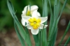 Файл=flower2015-001.jpg
Объём=75KB
Размеры=1200x799
Дата=Май 29, 2015 flower2015-001.jpg