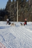 Файл=gsprint_025.jpg
Объём=257KB
Размеры=799x1200
Дата=Фев 13, 2014 gsprint_025.jpg