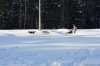Файл=gsprint_033.jpg
Объём=137KB
Размеры=1200x799
Дата=Фев 13, 2014 gsprint_033.jpg