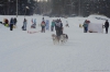 Файл=gsprint_038.jpg
Объём=114KB
Размеры=1200x799
Дата=Фев 13, 2014 gsprint_038.jpg