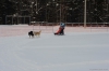Файл=gsprint_040.jpg
Объём=137KB
Размеры=1200x799
Дата=Фев 13, 2014 gsprint_040.jpg