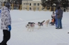 Файл=gsprint_044.jpg
Объём=133KB
Размеры=1200x799
Дата=Фев 13, 2014 gsprint_044.jpg
