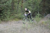 Файл=karp250813-044.JPG
Объём=207KB
Размеры=1200x799
Дата=Авг 27, 2013 karp250813-044.JPG