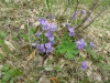 Файл=kirgishany-2013-0019.JPG
Объём=364KB
Размеры=1200x900
Дата=Июнь 01, 2013 kirgishany-2013-0019.JPG