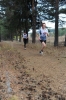 Файл=o_kross-2010-0953.JPG
Объём=221KB
Размеры=708x1064
Дата=Окт 13, 2010 o_kross-2010-0953.JPG