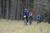 Файл=odetetctive_2014-057~0.JPG
Объём=203KB
Размеры=1200x799
Дата=Окт 14, 2014 odetetctive_2014-057~0.JPG