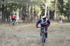Файл=odetetctive_2014-094~0.JPG
Объём=224KB
Размеры=1200x799
Дата=Окт 14, 2014 odetetctive_2014-094~0.JPG