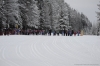Файл=og2012-sevsk-4226.JPG
Объём=315KB
Размеры=1600x1065
Дата=Дек 10, 2012 og2012-sevsk-4226.JPG