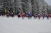 Файл=og2012-sevsk-4303.JPG
Объём=327KB
Размеры=1600x1065
Дата=Дек 10, 2012 og2012-sevsk-4303.JPG