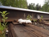 Файл=railmushroom04.jpg
Объём=133KB
Размеры=900x675
Дата=Июнь 21, 2015 railmushroom04.jpg