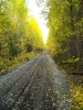 road.jpg