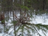 sem2012-002.jpg
