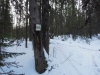 sem2012-005.jpg