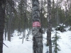 sem2012-006.jpg