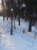 sem2012-008.jpg