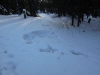 sem2012-009.jpg