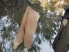 sem2012-010.jpg