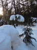 sem2012-011.jpg
