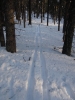 sem2012-012.jpg