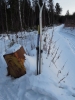 sem2012-017.jpg